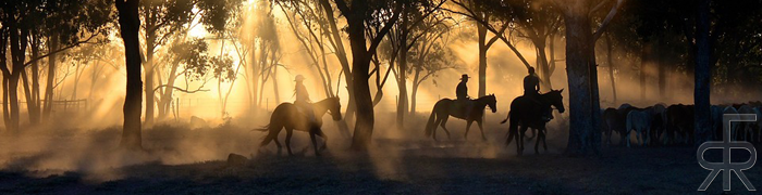 Cowboy01